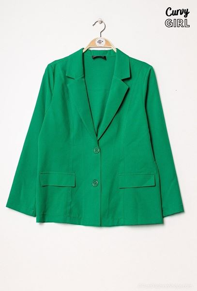Picture of CURVY GIRL BLAZER